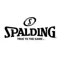 shop.spalding.com