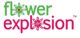 flowerexplosion.com